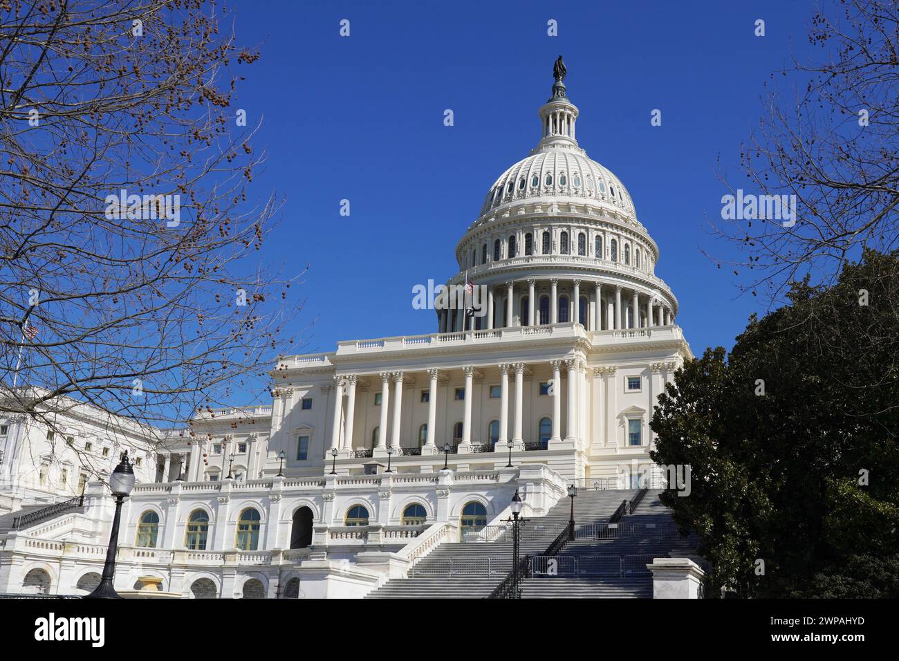 US Capitol Building à Washington DC sous un ciel bleu Banque D'Images