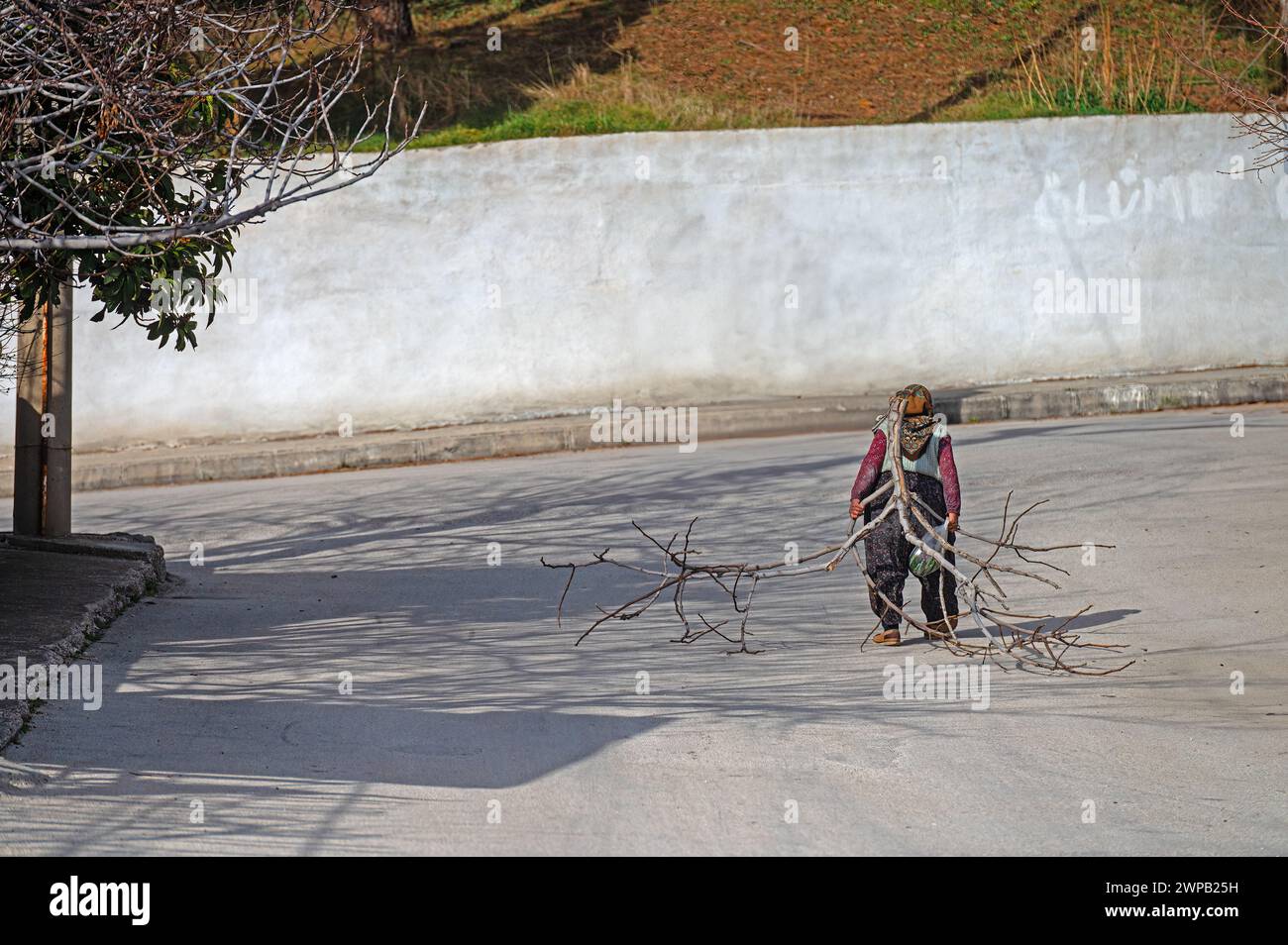 Une paysanne porte une branche d'arbre sur son dos. Banque D'Images