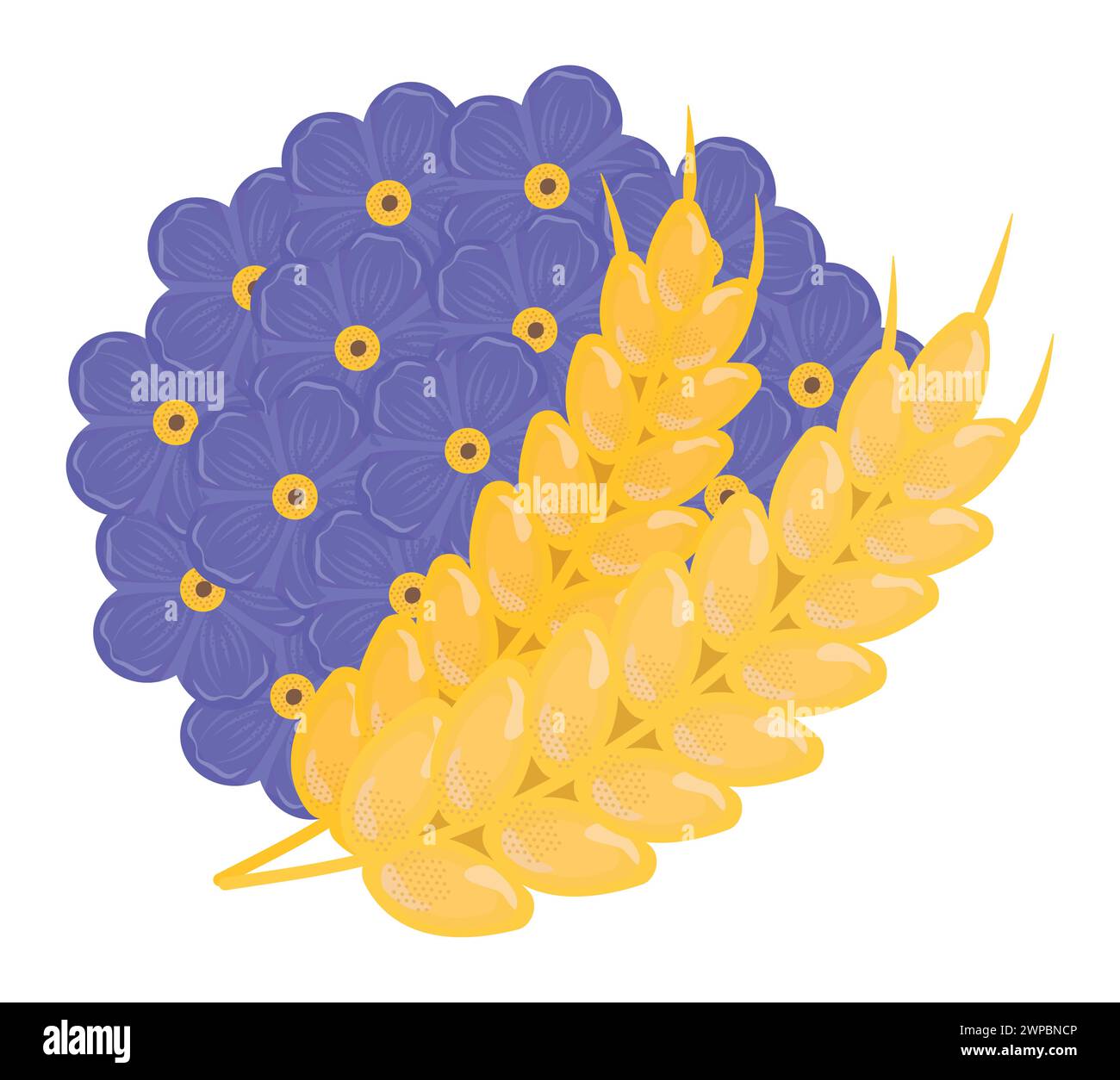 Oublie-moi pas bouquet rond, fleurs sauvages aux couleurs bleu et jaune et deux épis de blé Illustration de Vecteur