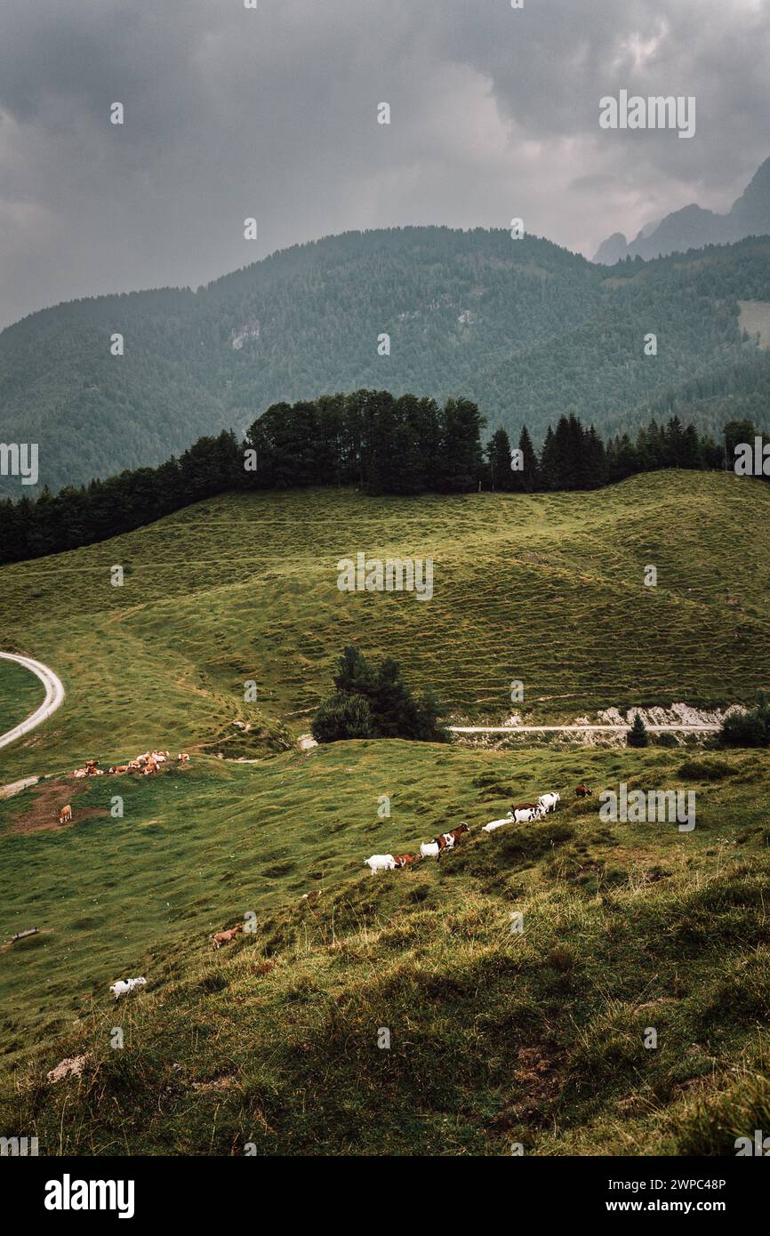 Randonnée dans les Alpes tyroliennes en Autriche Banque D'Images