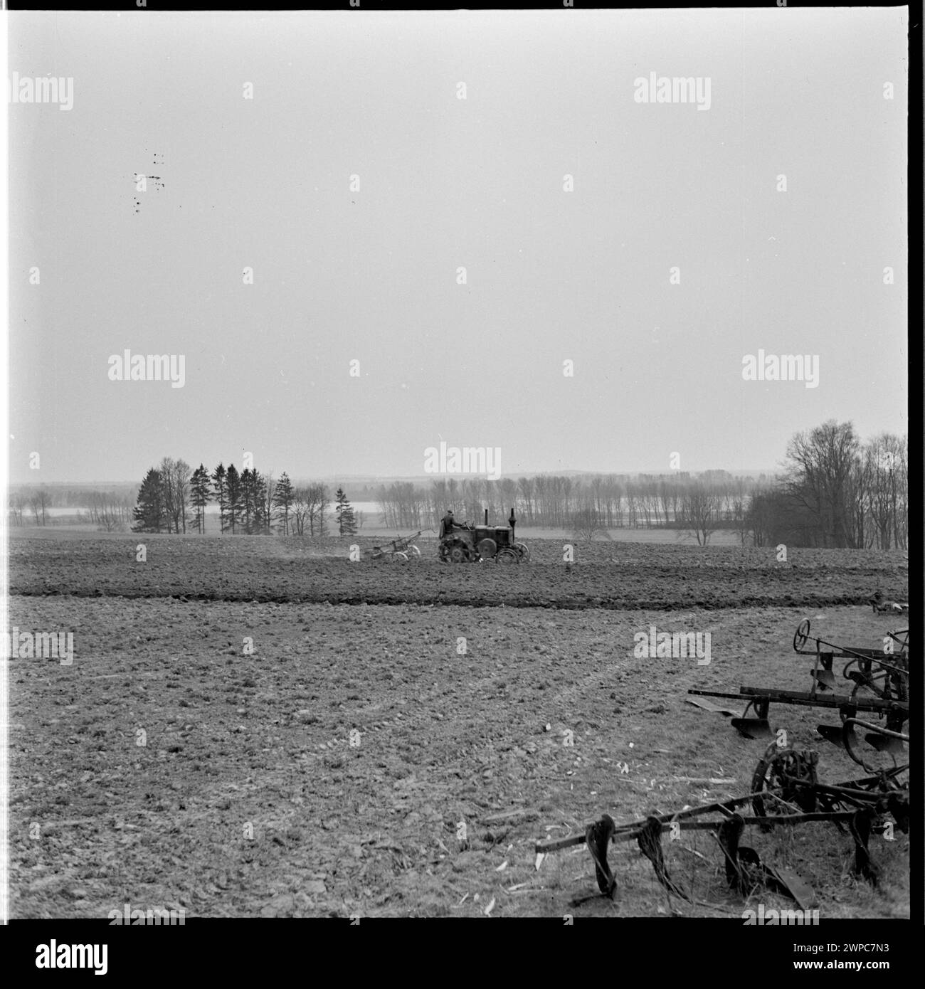 Tracteur pendant les travaux sur le terrain au Service d'incendie d'État à Karsk Pyrzycki ; d'une série de photographies à l'article d'Helena Adamczewska 'début du tracteur n° 00001' [à propos du premier tracteur 'Ursus' produit après la guerre], 'Świat' 1954, n° 18, pp. 8-9 ; Prażuch, Wiesław (1925-1992) ; 1954 (1954-00-00-1954-00-00); Banque D'Images