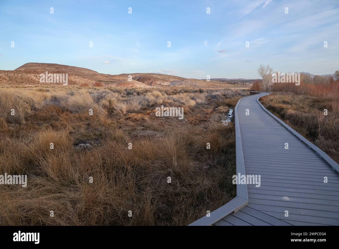 La réserve de Torrance Ranch de la nature Conservancy dans le comté de Nye, Nevada, offre une randonnée facile le long du sentier de promenade des marais Banque D'Images