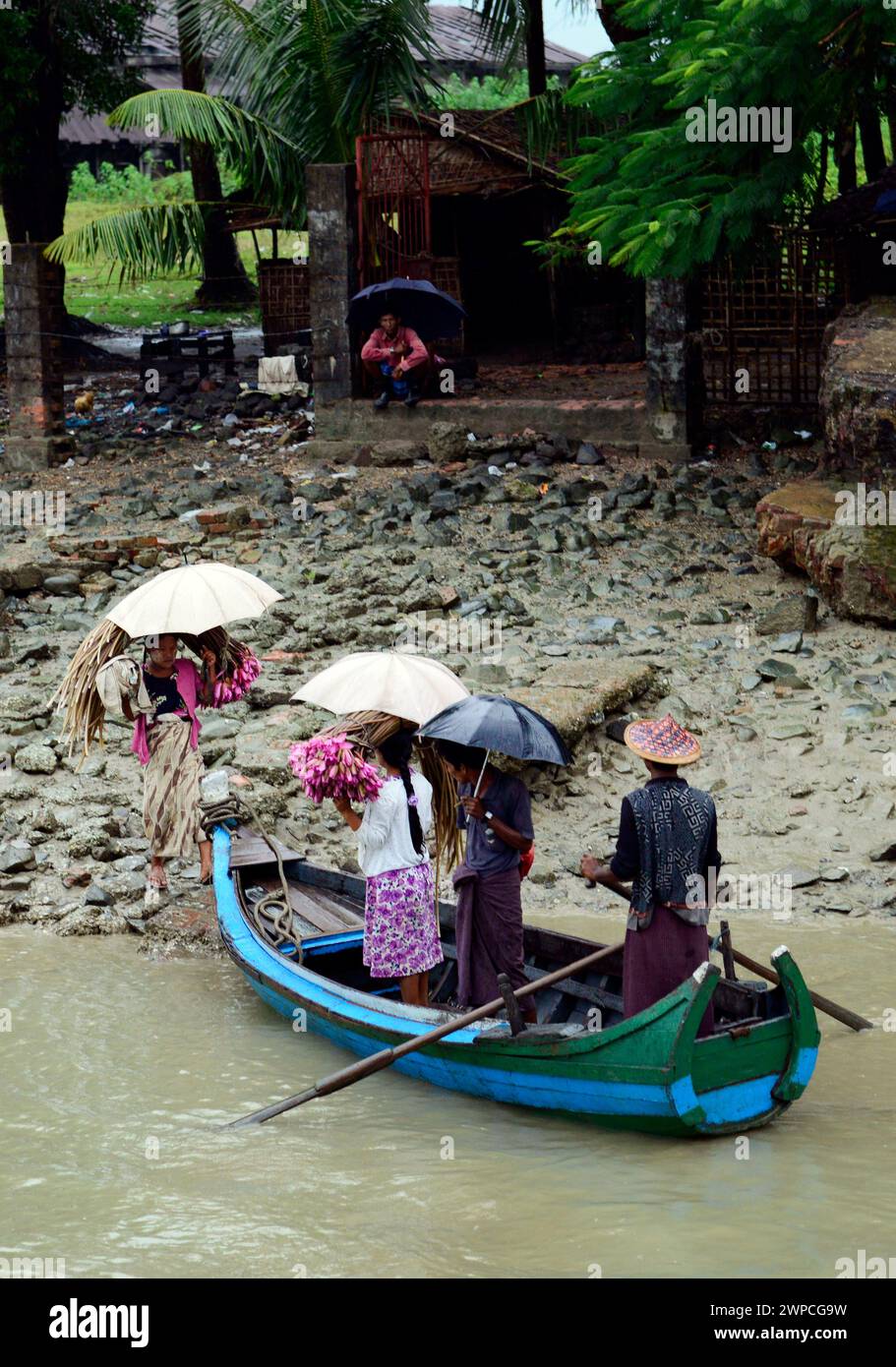 Fortes pluies de mousson le long de la rivière Kaladan dans l'État de Rakhine dans l'ouest du Myanmar. Banque D'Images