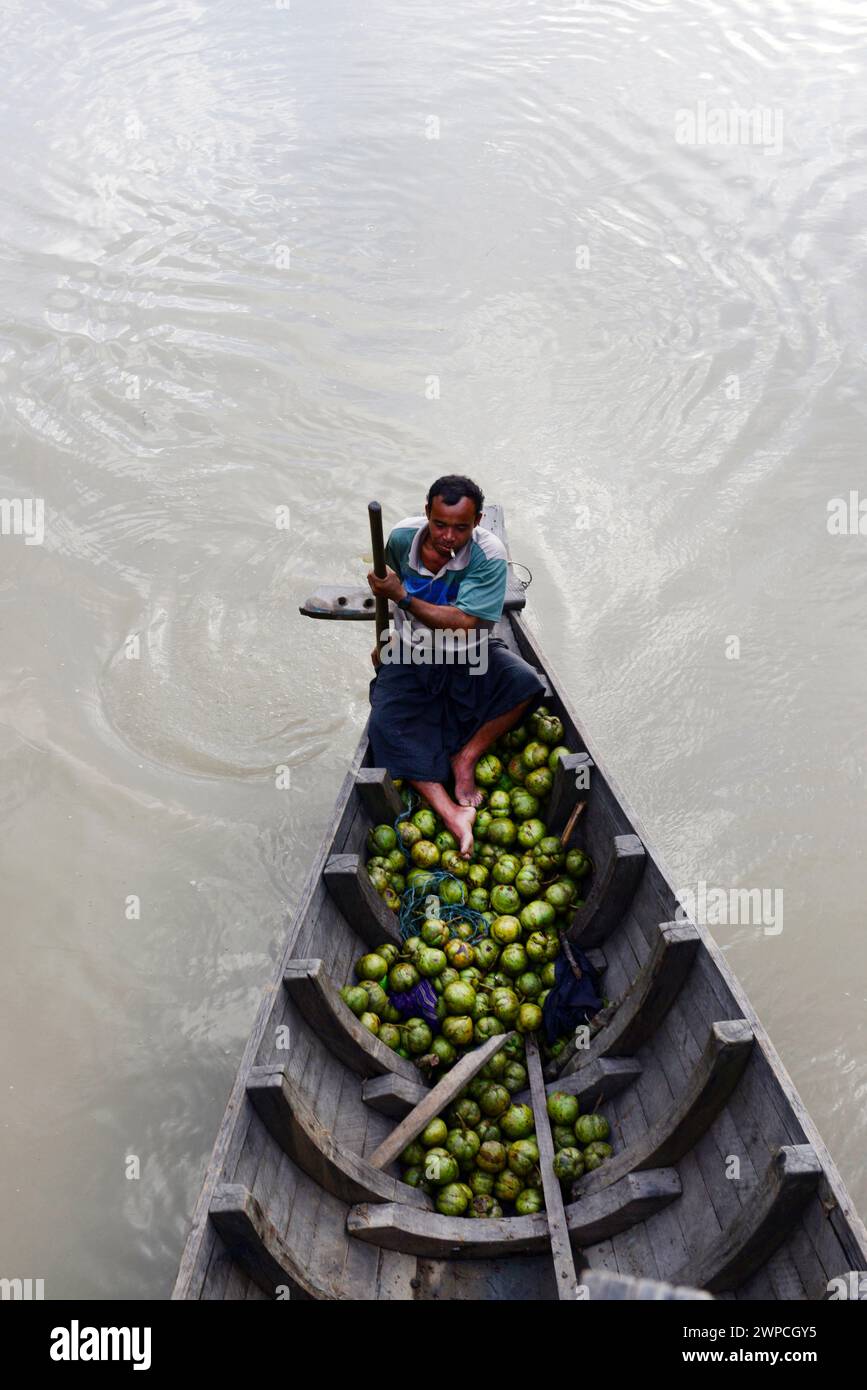 Vie sur les petites rivières autour de Mrauk-U dans l'état de Rakhine, Myanmar. Banque D'Images