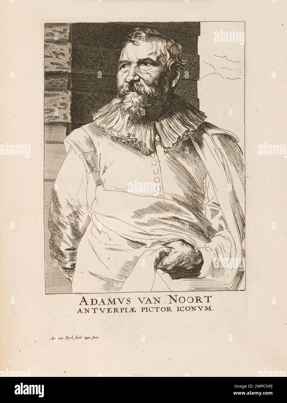 Portrait d'Adam van Noort peint par Anthony Van Dyck et Gillis Hendricx entre 1645 et 1646, mettant en valeur un portrait baroque flamand du XVIIe siècle. Banque D'Images