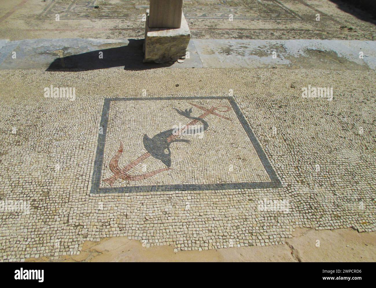 Restes de structure ancienne avec mosaïque de sol d'un dauphin enroulé autour de l'ancre, site archéologique de l'île de Délos, Mykonos, Grèce Banque D'Images