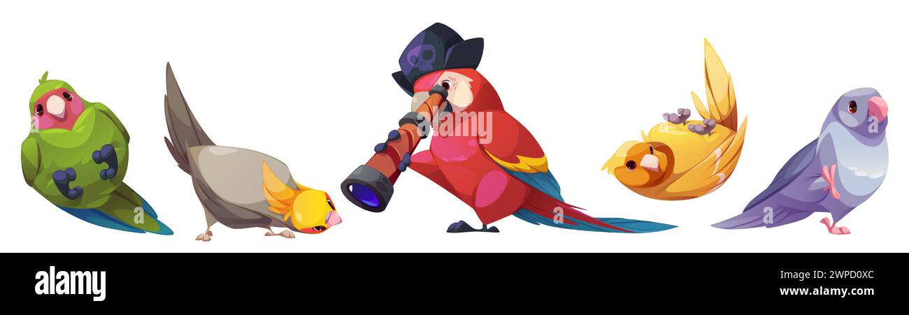 Oiseaux mignons ensemble isolé sur fond blanc. Illustration de bande dessinée vectorielle de perroquet cockatoo exotique, mascotte comique à plumes dans un chapeau de pirate avec spyglass, colombe grise et canari jaune, éléments de conception de zoo Illustration de Vecteur