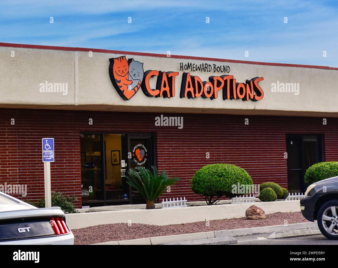 Homeward Bound Cat adoption Center sur Flamingo Road à Las Vegas Banque D'Images