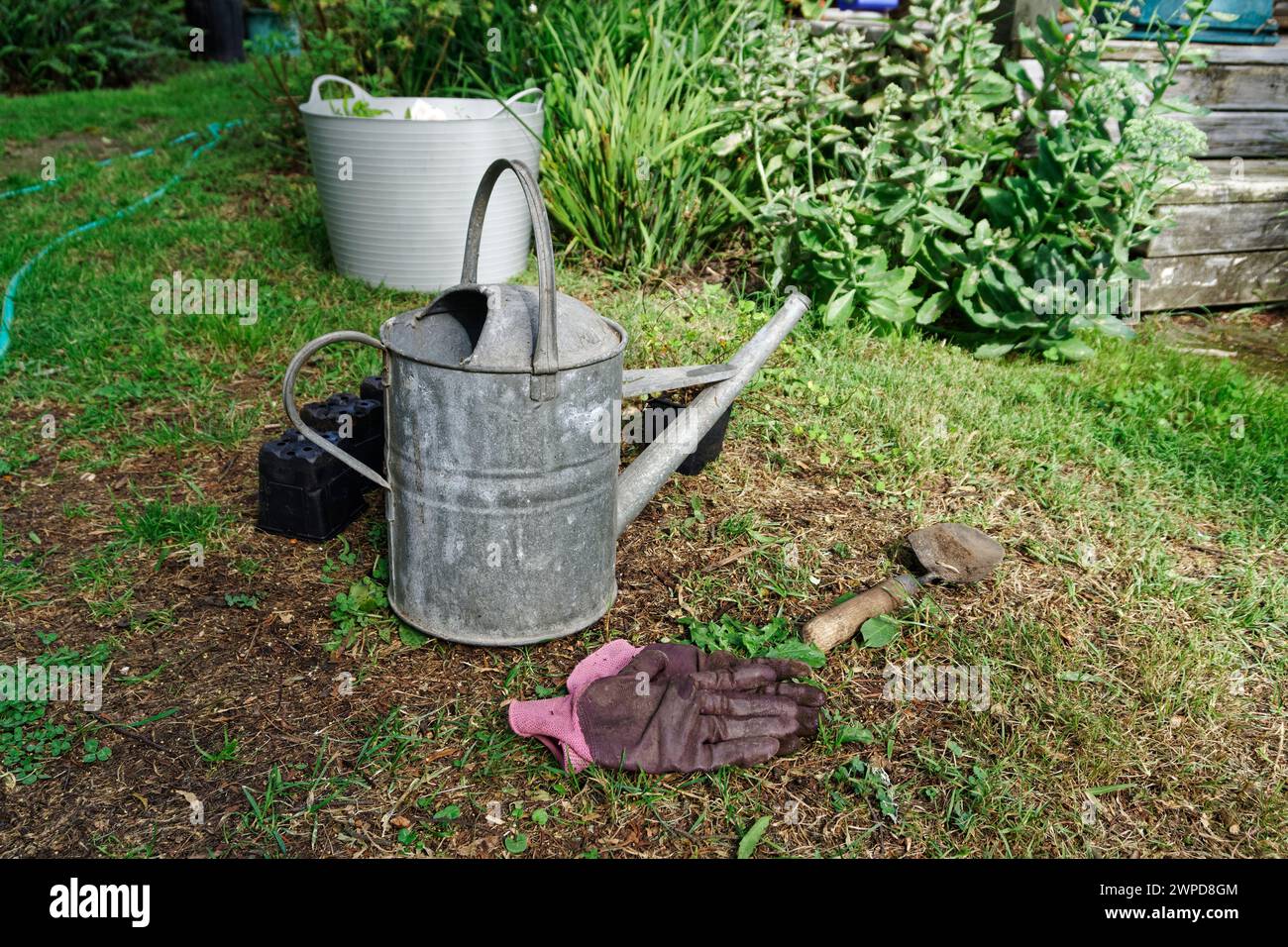 Un arrosoir se trouve sur la pelouse, une truelle avec de la terre sur elle se trouve à côté avec une paire de gants usagés. Il y a des pots de plantes en plastique vides et un bu Banque D'Images