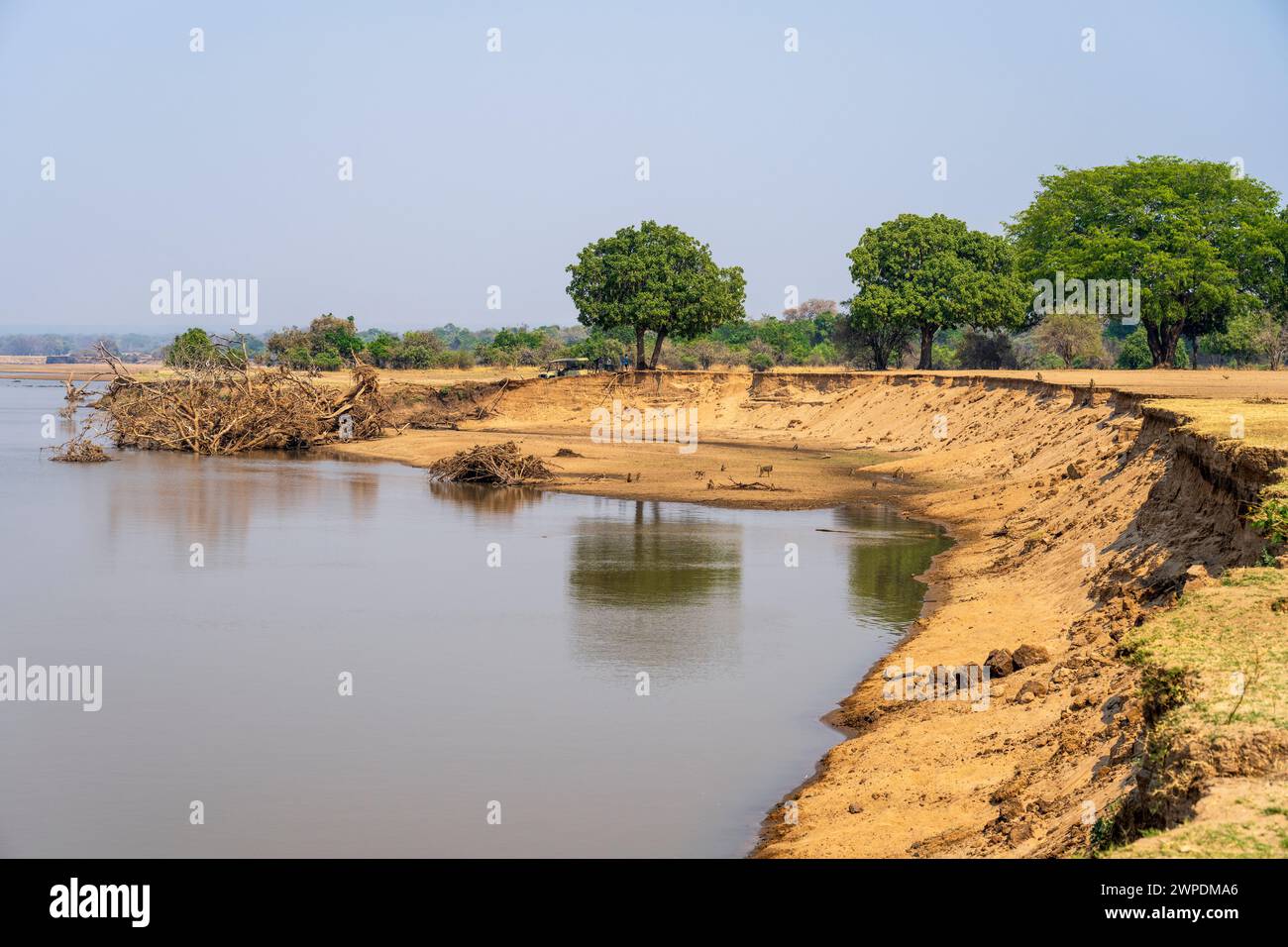 Rivière Luangwa en saison sèche dans le secteur de Mfuwe du parc national de South Luangwa en Zambie, Afrique australe Banque D'Images