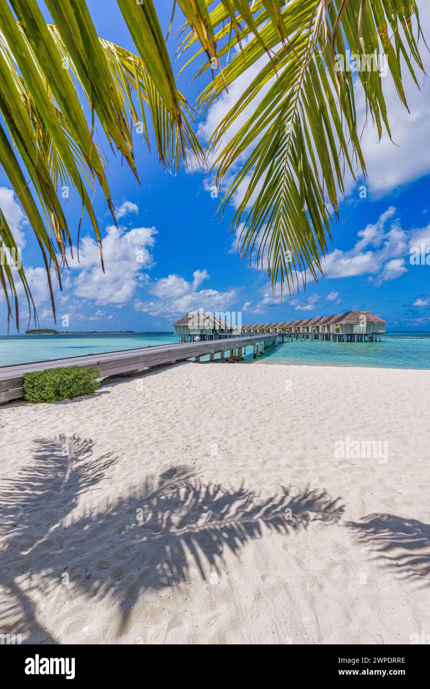 Paysage d'été fantastique, vue sur la nature tropicale feuilles de palmier vert frais de coco, mer bleue comme fond de vacances d'été de tourisme de luxe. Maldives Banque D'Images