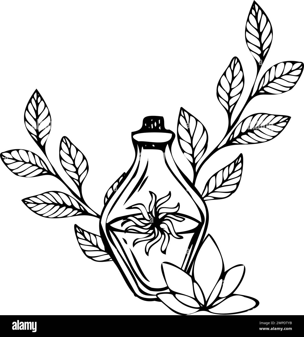 Composition d'une bouteille avec une potion avec des feuilles et une fleur de lotus. Illustration vectorielle de contour noir à partir d'objets isolés. Art pour estampes, cartes Illustration de Vecteur