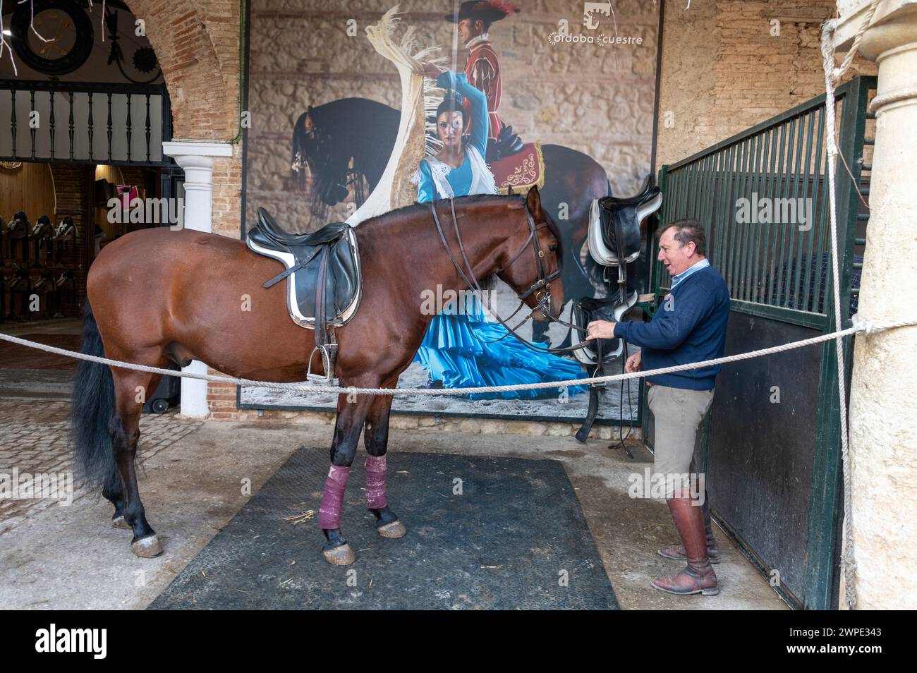 Las Caballerizas Reales de Cordoue (les écuries royales de Cordoue) dans la ville historique de Cordoue en Andalousie, dans le sud de l'Espagne Banque D'Images