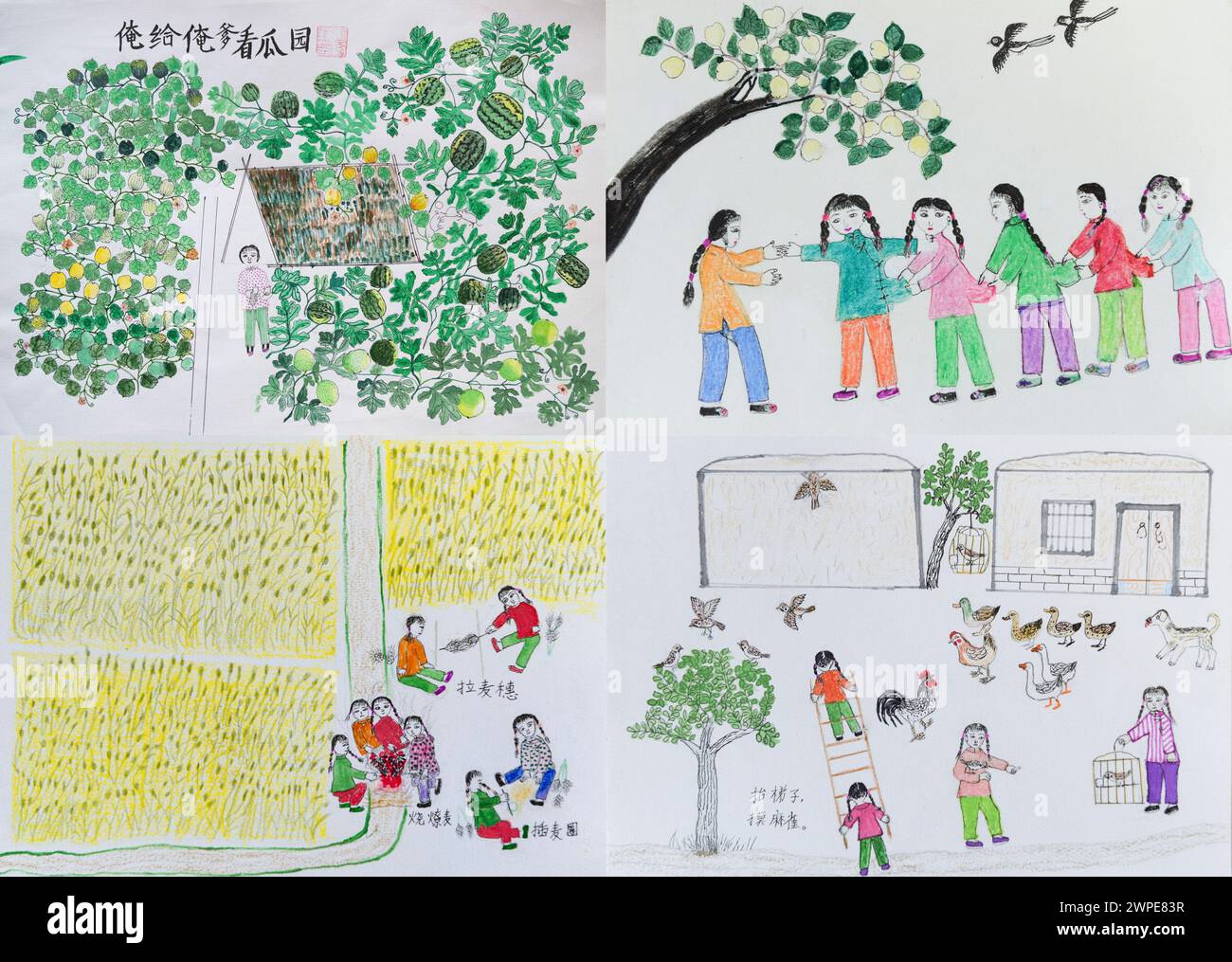 (240307) -- HARBIN, 7 mars 2024 (Xinhua) -- cette photo combinée prise le 6 mars 2024 montre des peintures de Jiang Shumei dans le district de Beilin de la ville de Suihua, dans la province du Heilongjiang au nord-est de la Chine. Jiang Shumei, 87 ans, une grand-mère analphabète qui a appris à lire à l’âge de 60 ans, a peint plus de 300 peintures et publié 6 livres, réalisant une transformation étonnante dans ses années crépusculaires. Né dans le comté de Juye de la province chinoise du Shandong en 1937, Jiang vit actuellement dans la ville de Suihua de la province chinoise du Heilongjiang. En 1996, le mari de Jiang meurt dans un accident de la route. Pour soulager Jiang Banque D'Images