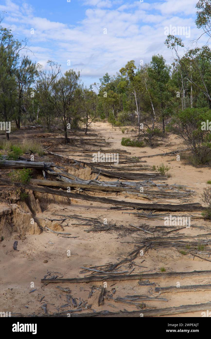 Les courtes longueurs de bois en velours côtelé original coupées pour former une base pour Cobb & Co Stage Coach voyageant de Surat à Yuleba Queensland Australie Banque D'Images