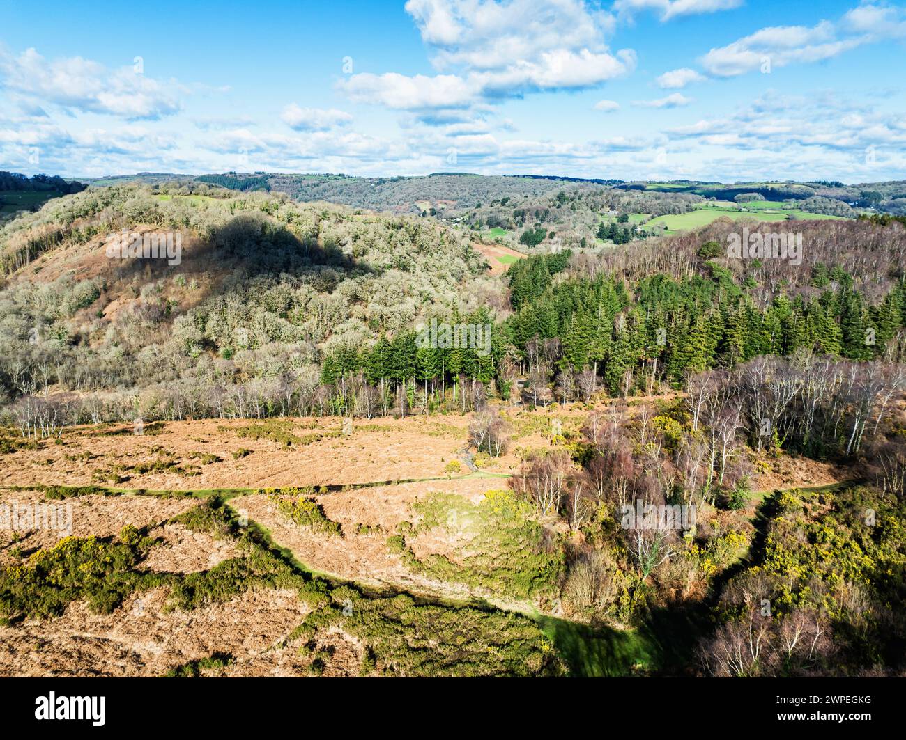 Hiver sur les collines et les vallées dans le parc de Dartmoor, réserve naturelle nationale de Dartmoor est, Yarner Wood, Bovey Tracey, Angleterre Banque D'Images