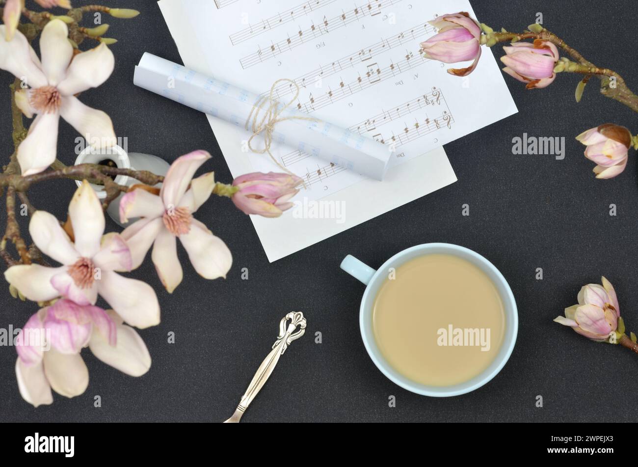 Fleurs blanches et roses de magnolia, café, notes, fond sombre, pose à plat. Banque D'Images