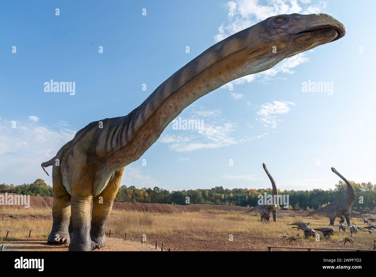Parc de dinosaures à Krasiejów. Le plus grand parc jurassique de Pologne et même d'Europe. Opole, Pologne, 2018 Banque D'Images