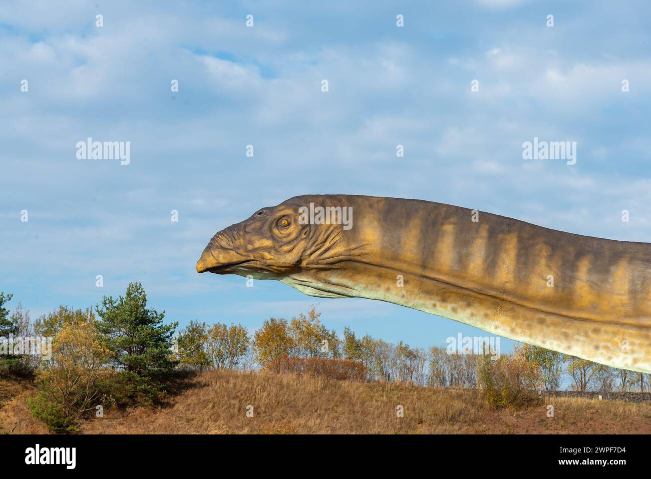 Parc de dinosaures à Krasiejów. Le plus grand parc jurassique de Pologne et même d'Europe. Opole, Pologne, 2018 Banque D'Images