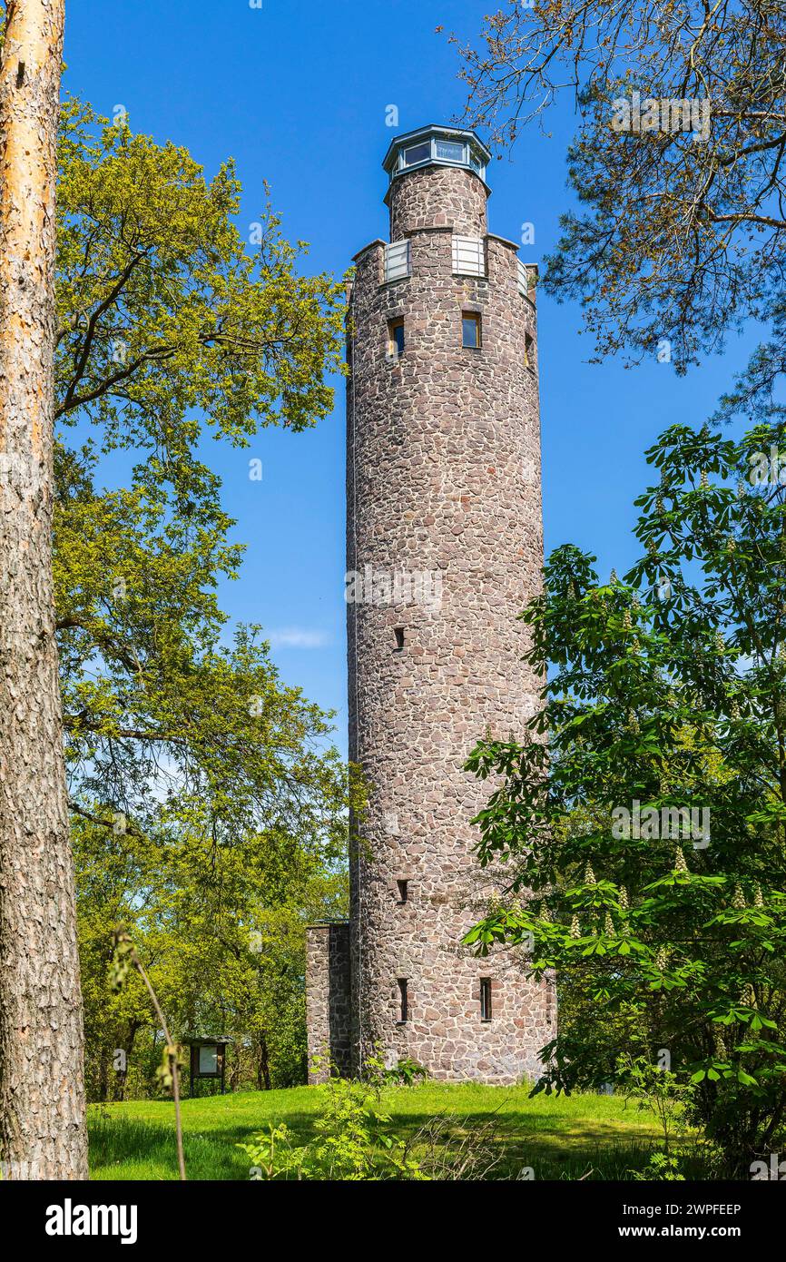 Luftbild der Ortschaft mit Schloss, Schlosspark und Schwanteich, Thammenhain, Landkreis Leipzig, Saxe, Deutschland *** vue aérienne du village w Banque D'Images