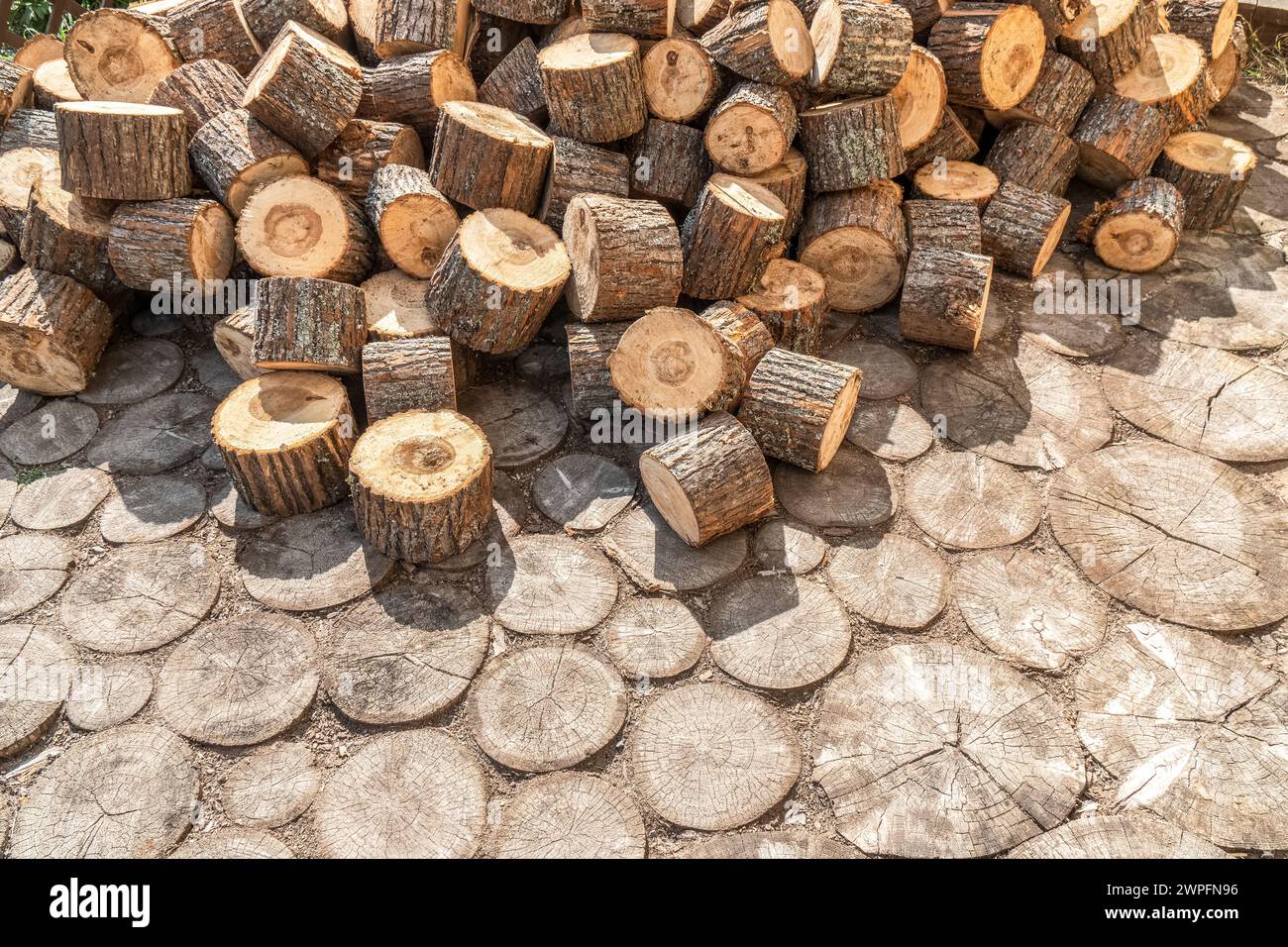 Morceaux de pin coupés en cercle sur la route du jardin pavée de pierres d'escalier en bois. Matériau naturel pour revêtement de piste rural. Tas de fournitures de construction Banque D'Images