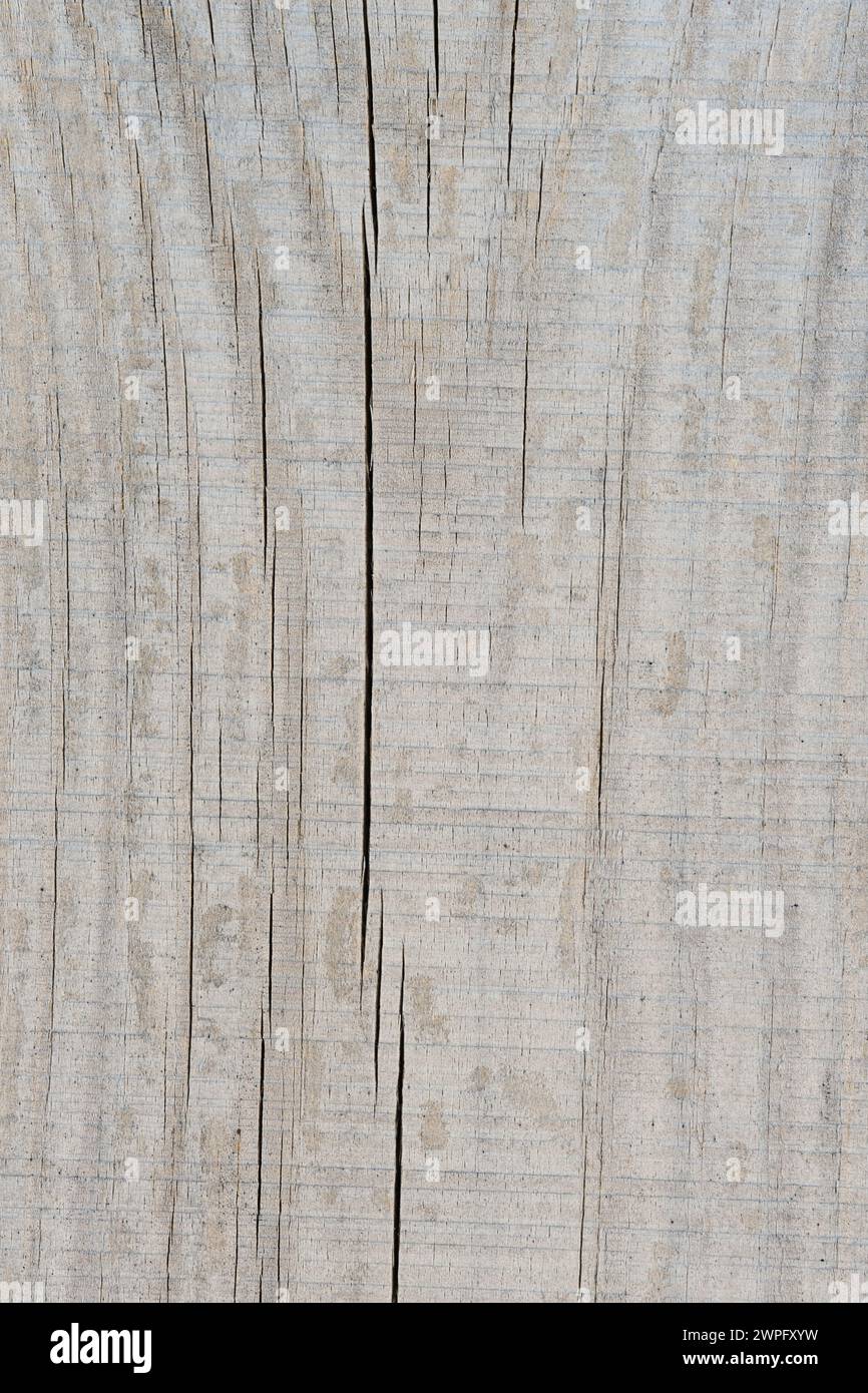 Fond et texture de vieilles planches en bois Banque D'Images