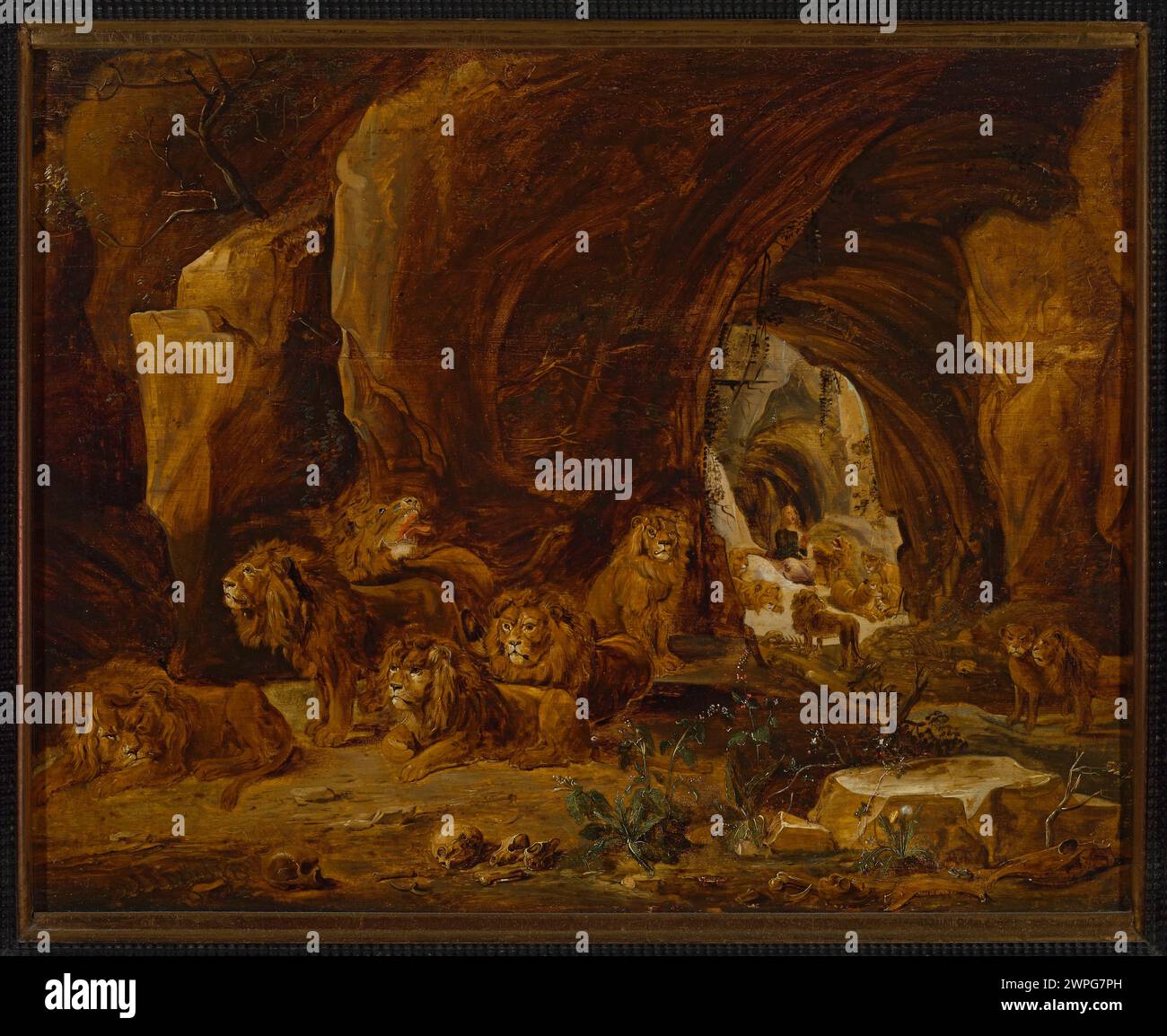 Cette peinture représente le Daniel biblique dans une grotte rocheuse avec des lions, créée par David II Teniers (1610-1690) au XVIIe siècle. C'est une scène religieuse flamande incluse dans les collections d'art. Banque D'Images