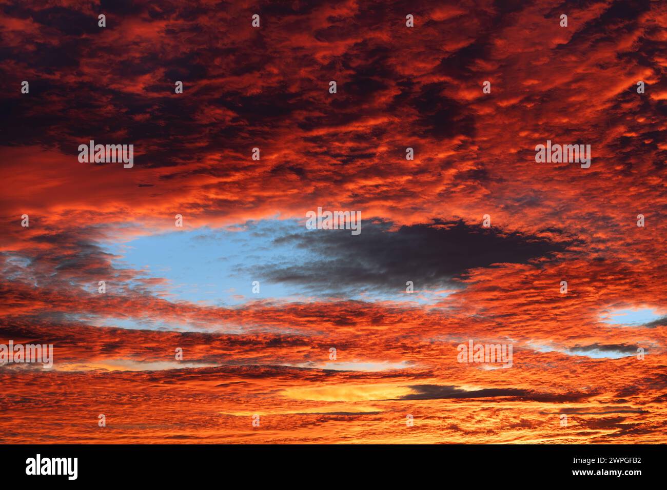 Paysage nuageux rouge avec trou de retombée bleu dans les nuages de cirrocumulus au crépuscule du soir. Belle rémanence ardente sur le ciel orange du coucher du soleil avec cavum inhabituel Banque D'Images
