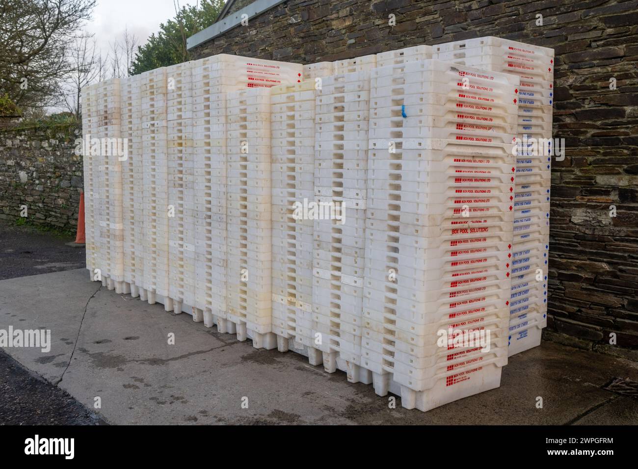 Boîtes à poissons empilées à l'extérieur d'une usine de poisson, Union Hall, West Cork, Irlande. Banque D'Images