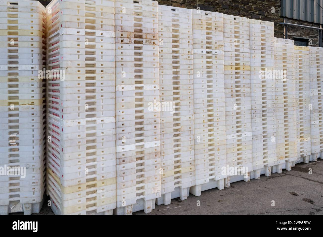 Boîtes à poissons empilées à l'extérieur d'une usine de poisson, Union Hall, West Cork, Irlande. Banque D'Images