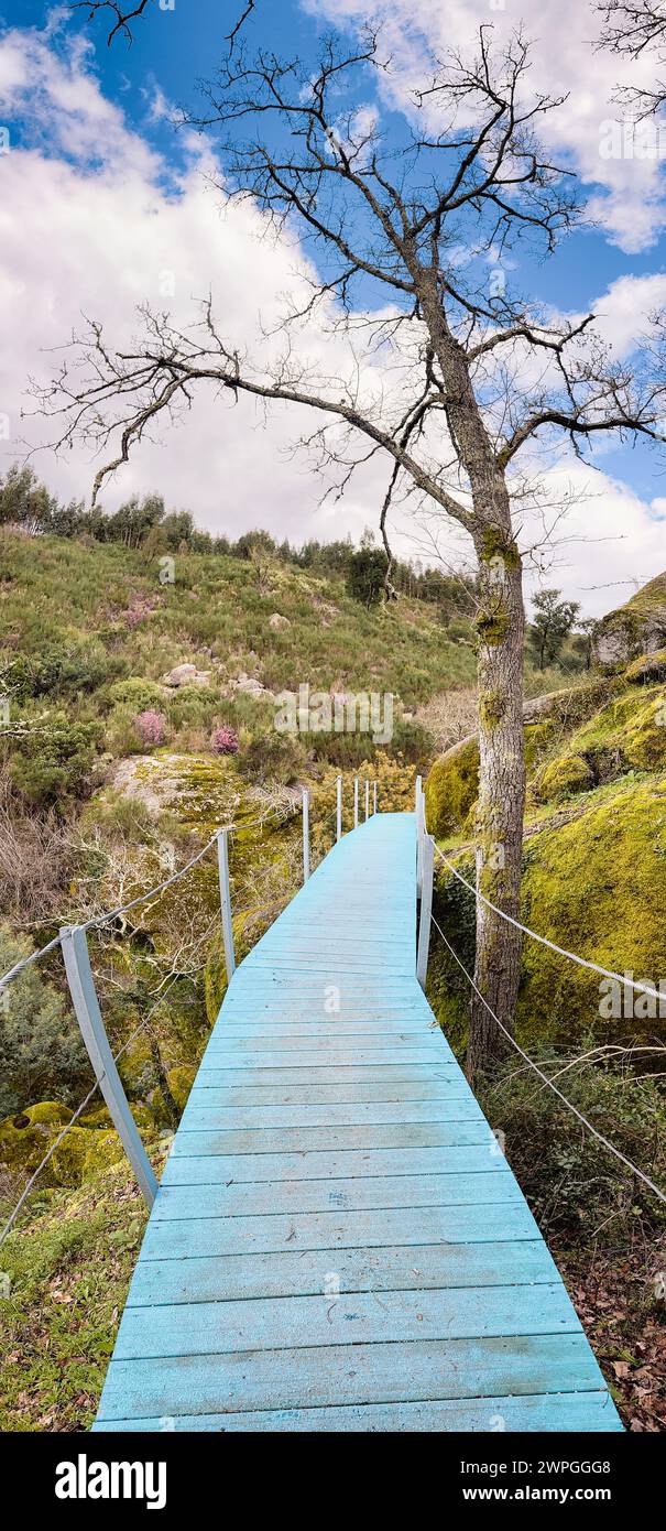 Vue depuis la passerelle Trilho dos Gaios à Tabua, Coimbra - Portugal. Banque D'Images