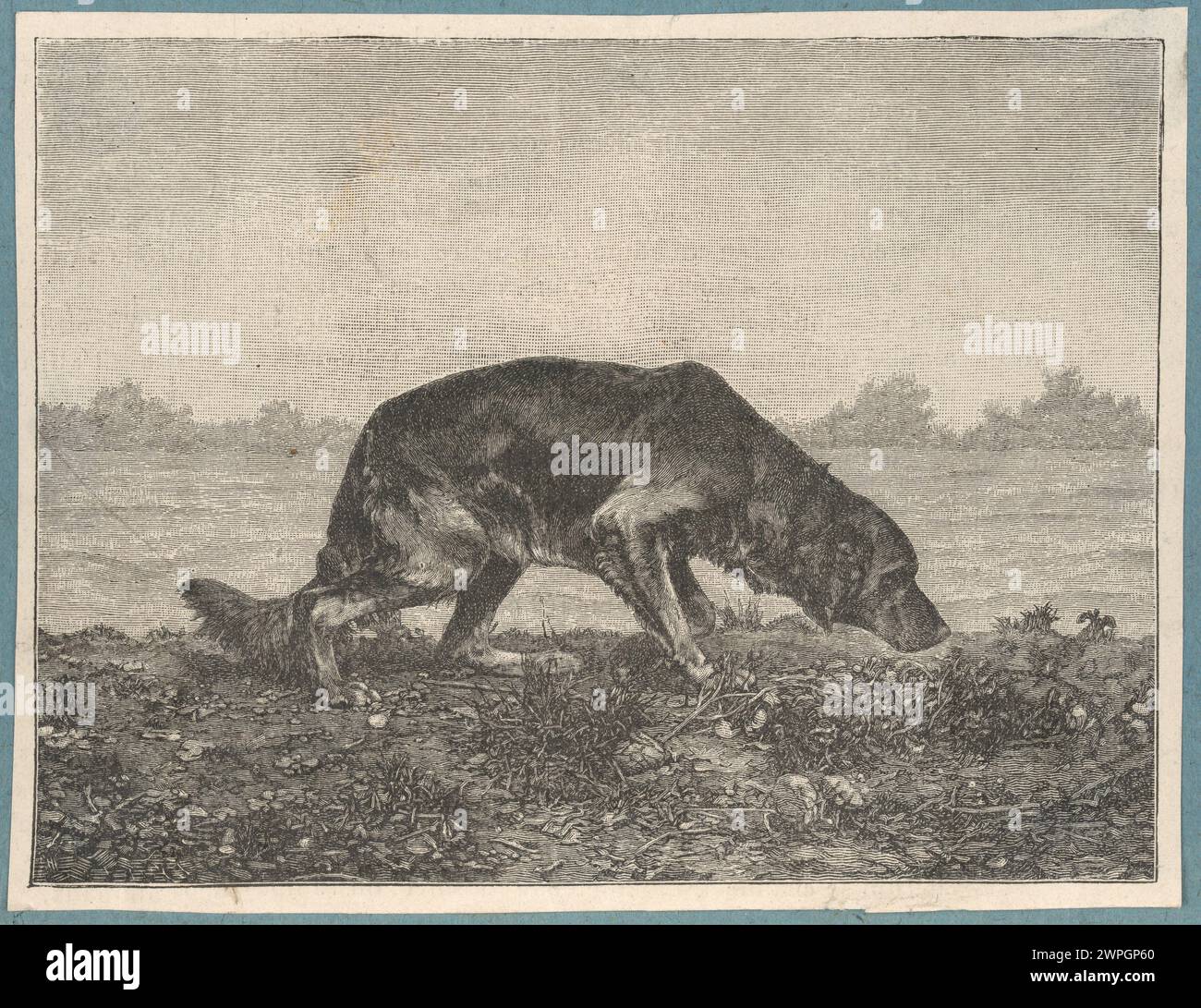 Tableau représentant un chien, créé entre 1870 et 1890. Banque D'Images