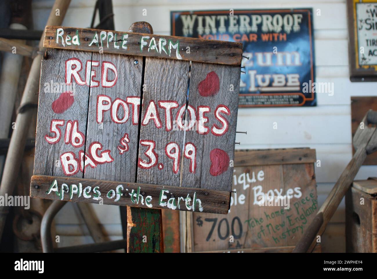 Affiche Red Potatoes à Red Apple Farm, Massachusetts, États-Unis Banque D'Images