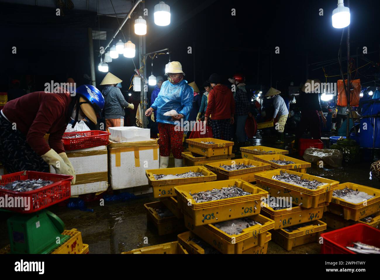 Le marché du poisson frais et des fruits de mer tôt le matin à Thanh Hà, Hoi an, Vietnam. Banque D'Images