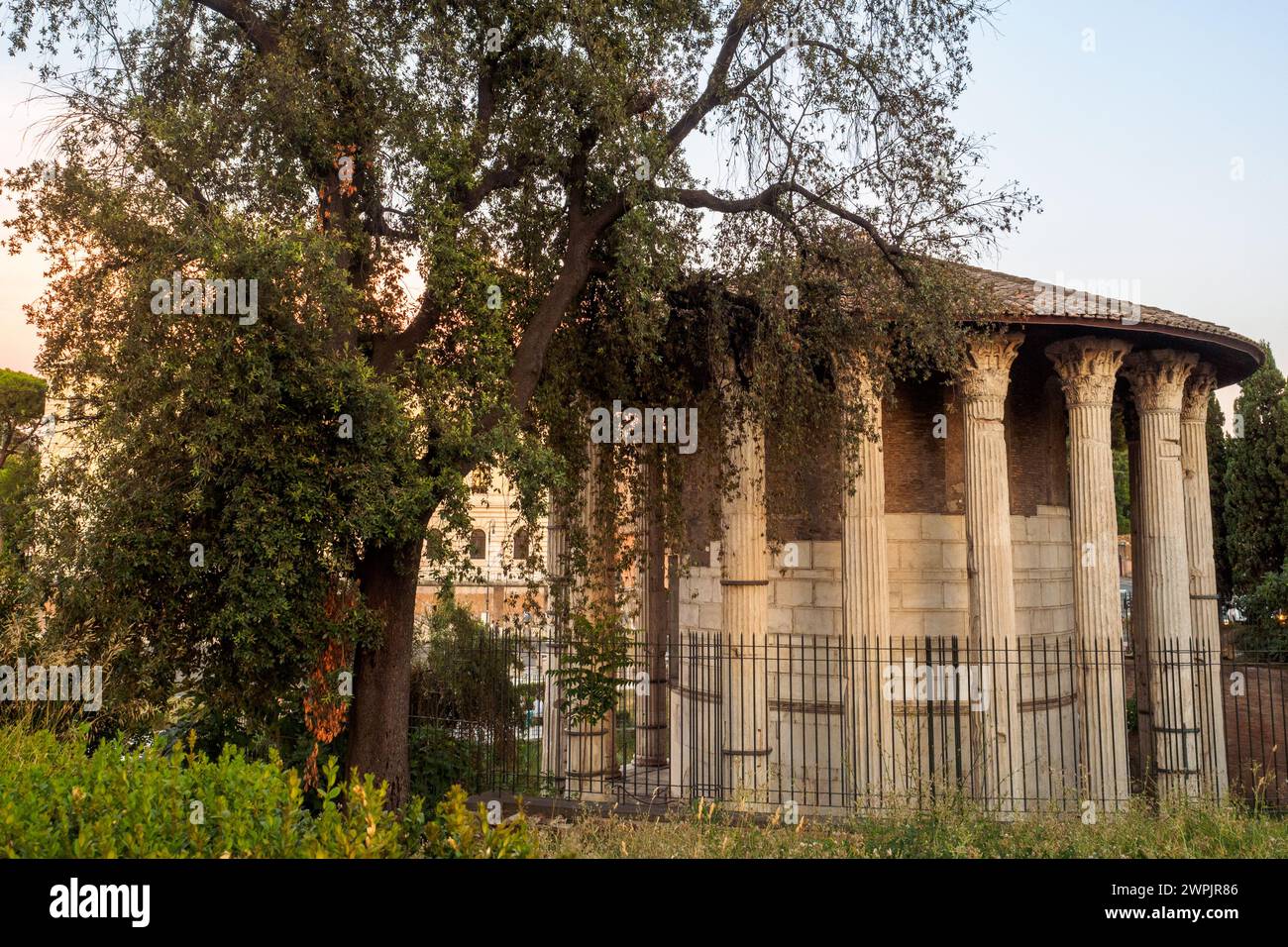 Le Temple d'Hercule Victor ou Hercules Olivarius est un temple romain, à Piazza Bocca della Verità, dans la région du Forum Boarium près du Tibre - Rome, Italie Banque D'Images