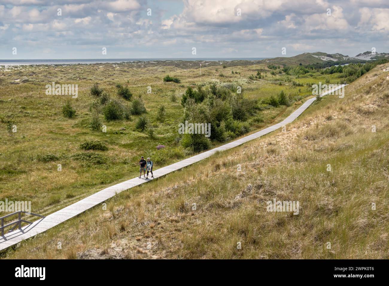 Les gens marchent sur la promenade dans les dunes de Wittdun sur l'île d'Amrum, Frise du Nord, Schleswig-Holstein, Allemagne Banque D'Images