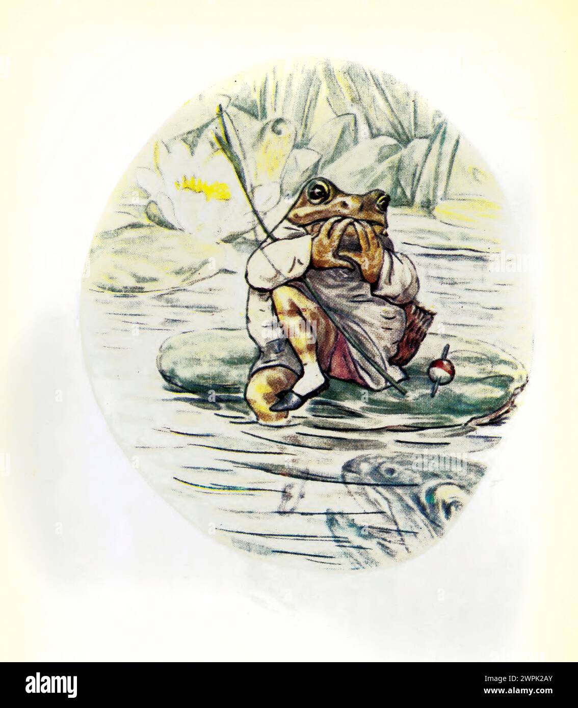 Le conte de Mr. Jeremy Fisher par Beatrix Potter, le conte de Mr. Jeremy Fisher est un livre pour enfants, écrit et illustré par Beatrix Potter. Il a été publié par Frederick Warne & Co en juillet 1906. Jeremy Fisher est une grenouille qui vit dans une maison «glissante-bâclée» au bord d'un étang. Au cours d'un jour de pluie, il ramasse des vers pour la pêche et part à travers l'étang sur son bateau de nénuphar. Il prévoit d'inviter ses amis à dîner s'il attrape plus de cinq esprits. Il rencontre toutes sortes de revers à son but, et échappe à une grosse truite qui tente de l'avaler. Il nage pour le rivage, décide lui Banque D'Images