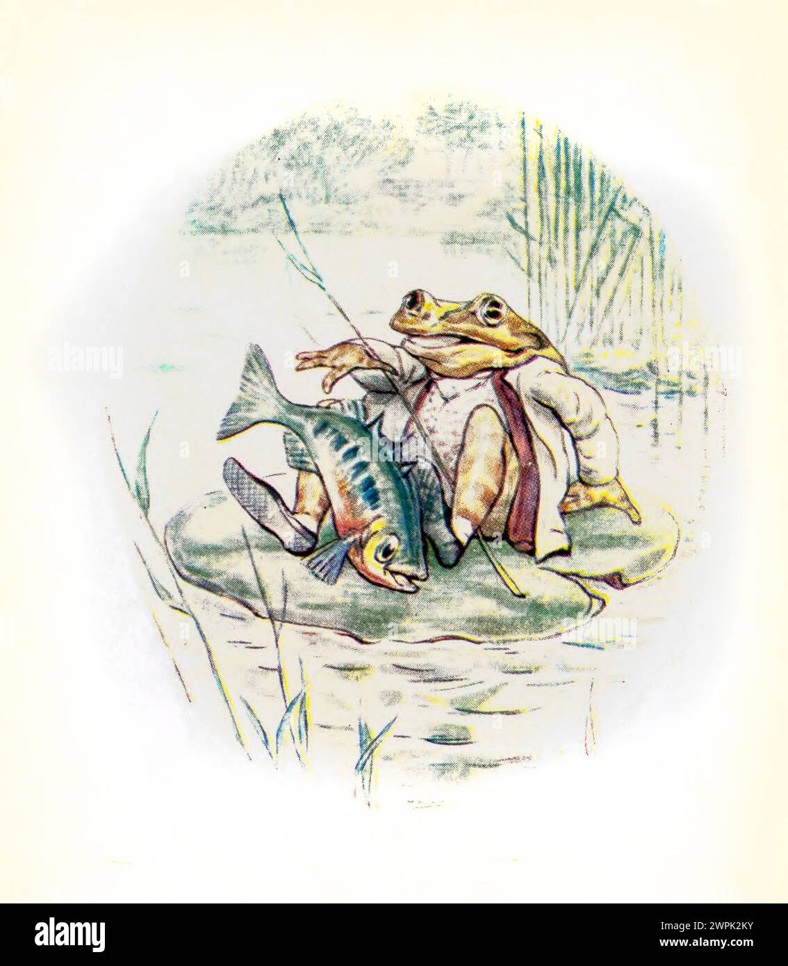 T'HE stickleback flounded about the boat le conte de Mr. Jeremy Fisher par Beatrix Potter, le conte de Mr. Jeremy Fisher est un livre pour enfants, écrit et illustré par Beatrix Potter. Il a été publié par Frederick Warne & Co en juillet 1906. Jeremy Fisher est une grenouille qui vit dans une maison «glissante-bâclée» au bord d'un étang. Au cours d'un jour de pluie, il ramasse des vers pour la pêche et part à travers l'étang sur son bateau de nénuphar. Il prévoit d'inviter ses amis à dîner s'il attrape plus de cinq esprits. Il rencontre toutes sortes de revers à son but, et échappe à une grosse truite qui tente de s Banque D'Images