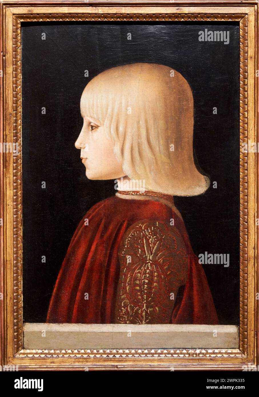 Piero della Francesca (Borgo San Sepolcro, hacia 1415-1492), Portrait d'un garçon. Guidobaldo da Montefeltro (?), Hacia 1483 Banque D'Images