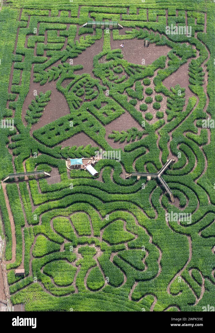 09/07/14 Un champ de maïs de dix acres est transformé en un labyrinthe géant d'épouvantail. Les personnages sont tirés du nouveau livre de Julia Donaldson - The Strarecrows' W. Banque D'Images