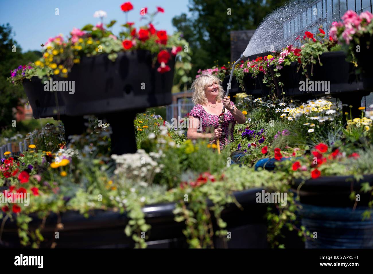 10/07/14 Christine Redfern, arrose 80 pots de fleurs géants pour la dernière fois avant qu'ils ne soient chargés sur un camion ce soir et conduits à Glasgow pour Banque D'Images