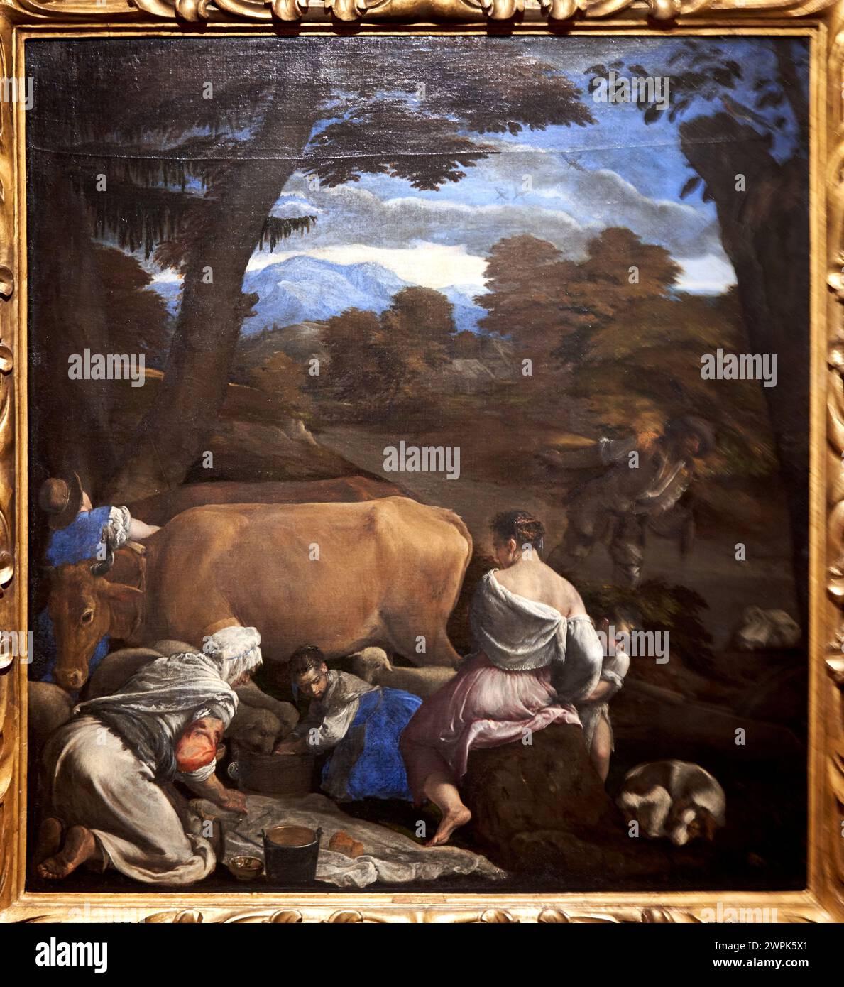 Jacopo Bassano (Bassano del Grappa, Hacia 1510-1592), la parabole du semeur, Hacia 1560 Banque D'Images