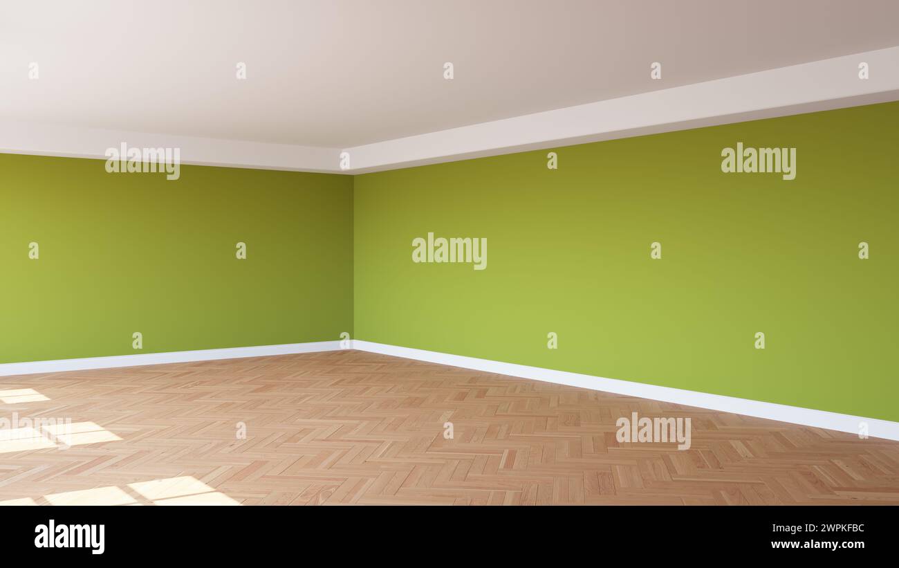 Coin de l'intérieur ensoleillé avec des murs kaki, un plafond blanc et une corniche, parquet brillant à chevrons et un socle blanc. Intérieur non meublé Banque D'Images
