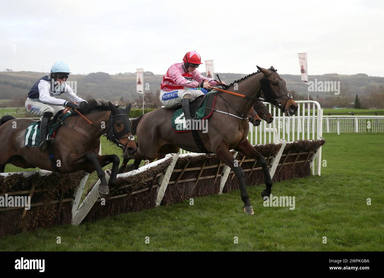 Photo du dossier datée du 15-12-2023 de Go Dante, qui peut enfin décrocher le gros prix qu’il a promis depuis longtemps dans la Betfair Imperial Cup handicap Hurdle à Sandown. Date d'émission : vendredi 8 mars 2024. Banque D'Images