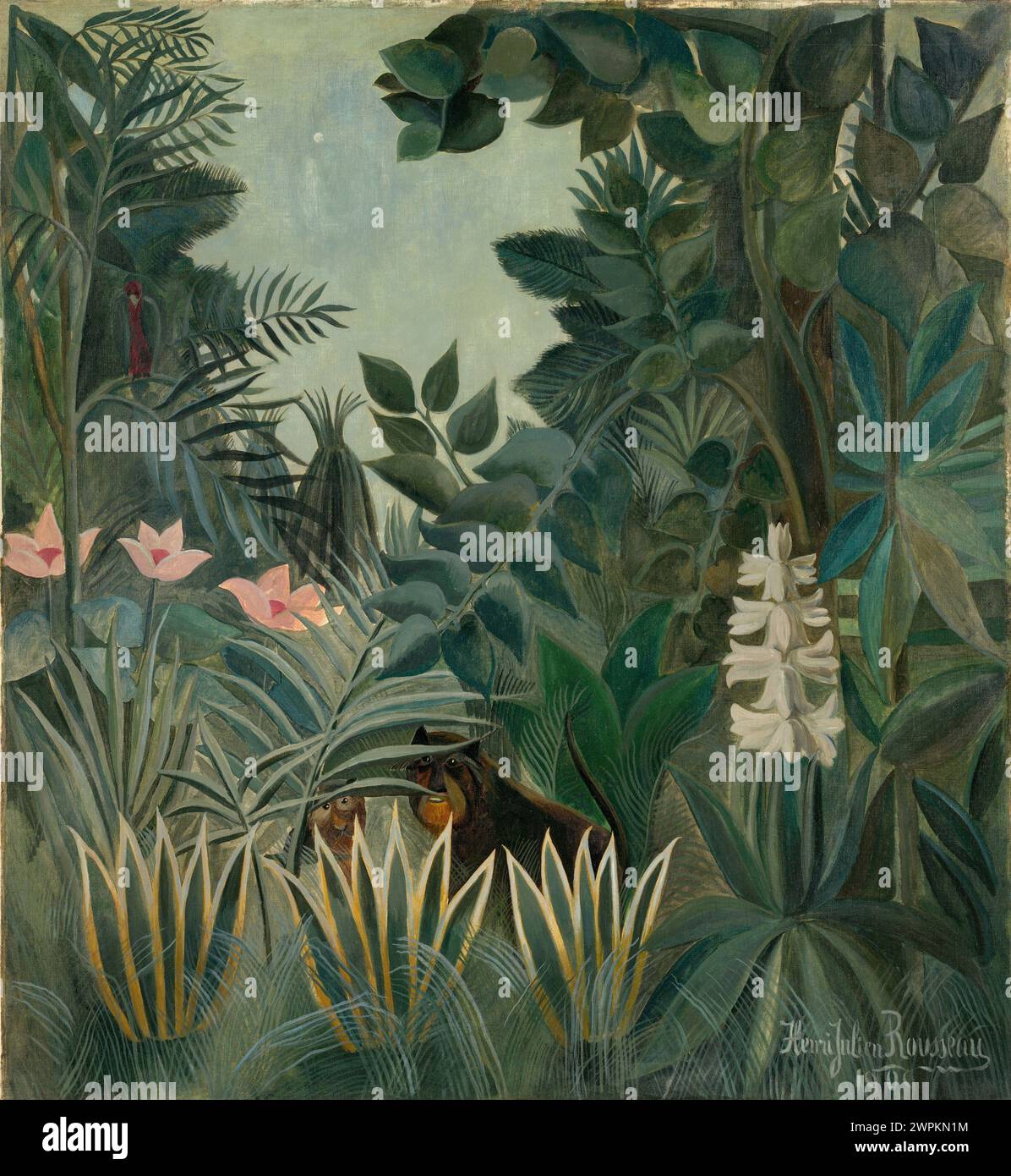 The Equatorial Jungle, 1909, National Gallery of Art, Washington, D.C. Banque D'Images