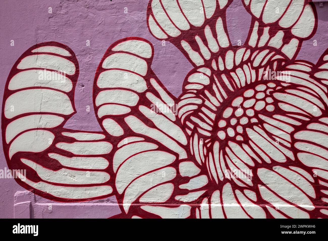 Graffiti sur le bâtiment à Woodstock , le Cap - Afrique du Sud Banque D'Images