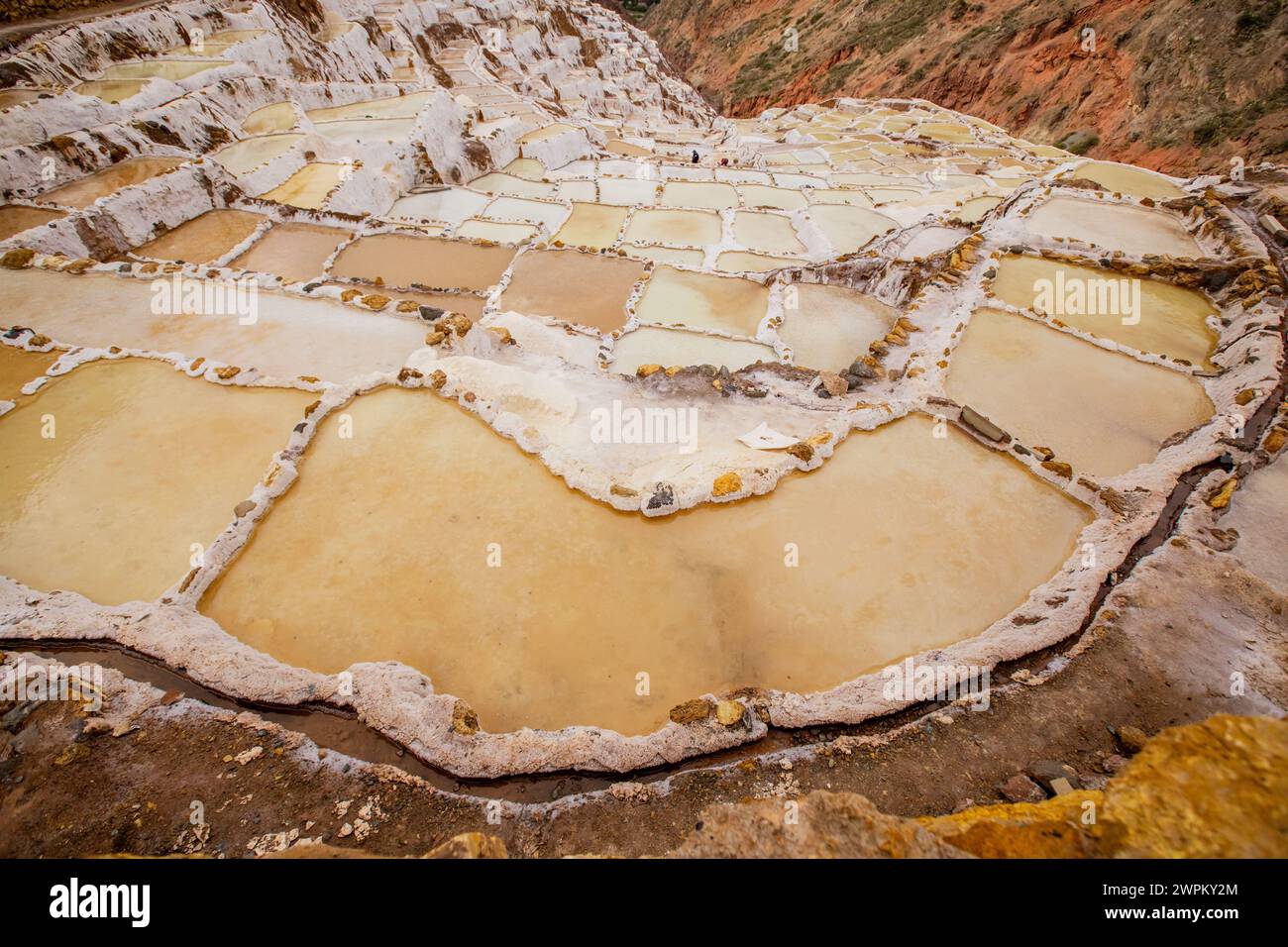 Mines de sel de Maras (Salineras de Maras), Pérou, Amérique du Sud Banque D'Images