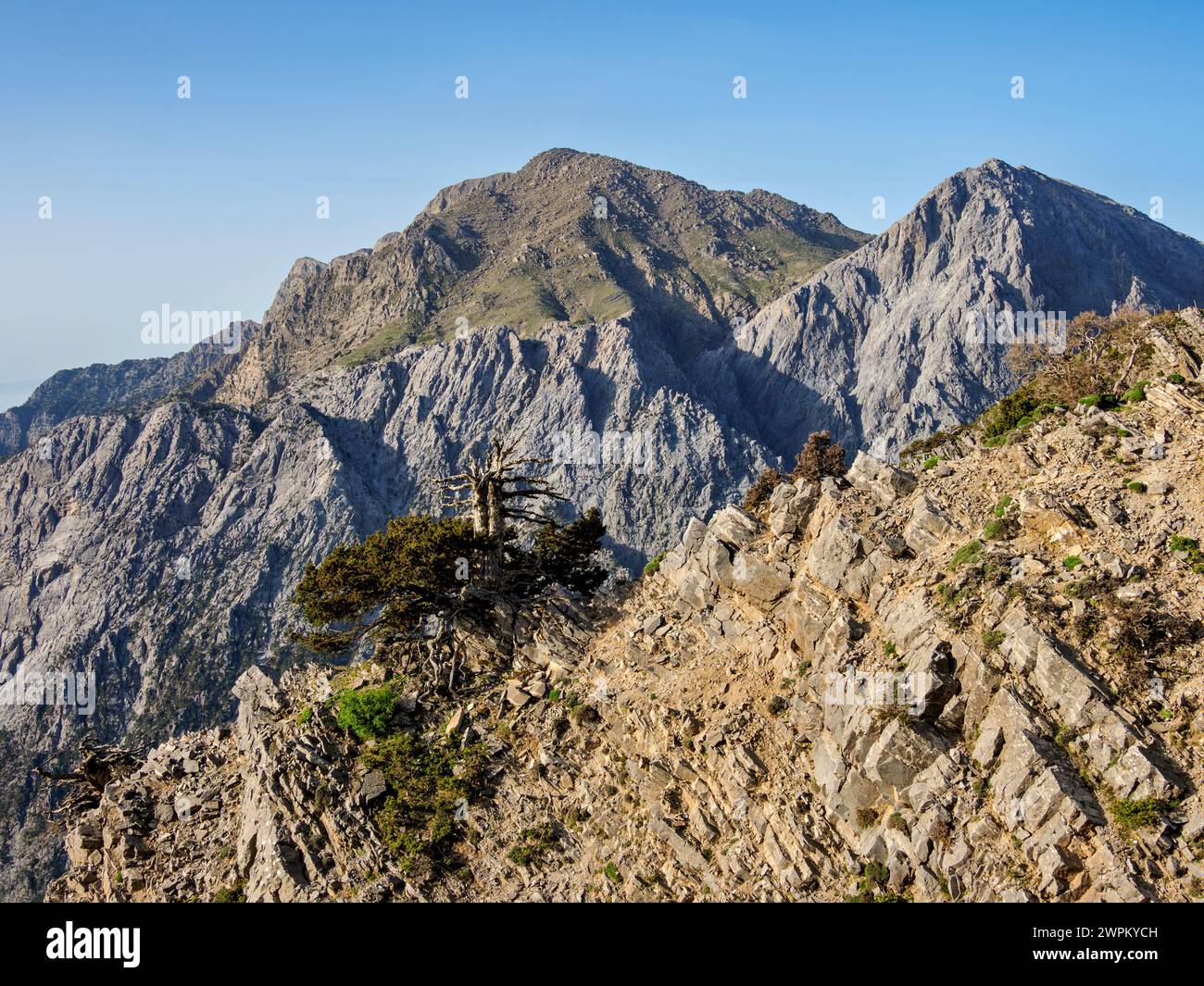 Gorge de Samaria, vue surélevée, région de la Canée, Crète, Îles grecques, Grèce, Europe Banque D'Images