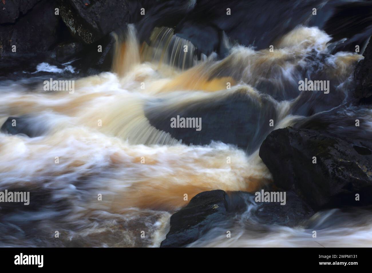 Rogie Falls, Ross-Shire, Highlands, Écosse, Royaume-Uni, Europe Banque D'Images