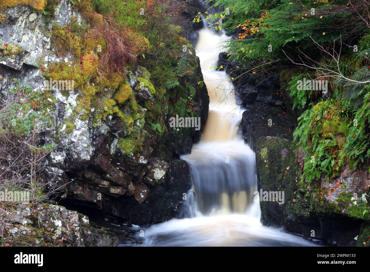Rogie Falls, Ross-Shire, Highlands, Écosse, Royaume-Uni, Europe Banque D'Images